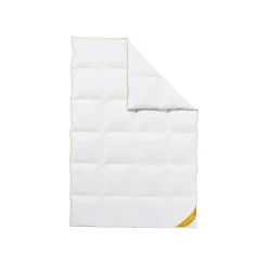 Balette deLuxe Gänsedaunen-Kassettenbettdecke Gold-Edition warm (240 x 220 cm) - B-Ware Transportschaden Kosmetisch