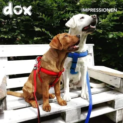 DDOXX Hundegeschirr Nylon, Step-In, Verstellbar, Blau, S - B-Ware sehr gut