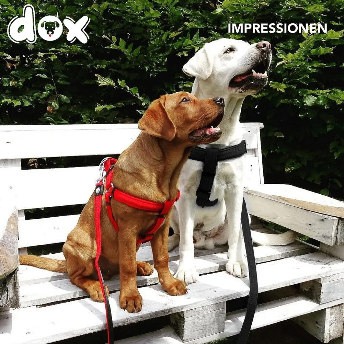 DDOXX Hundegeschirr Nylon, Step-In, Verstellbar, Schwarz, S - B-Ware sehr gut