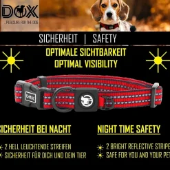 DDOXX Hundehalsband Nylon, reflektierend, verstellbar, gepolstert,Blau, S - B-Ware sehr gut