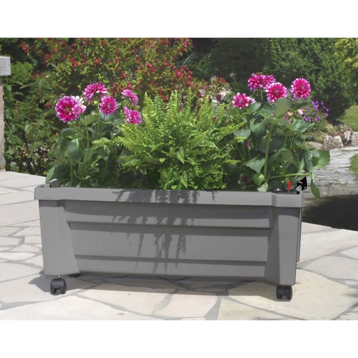 KHW Calypso Pflanzkasten mit Bewässerungssystem, B 79 x T 35 x H 33 cm - B-Ware