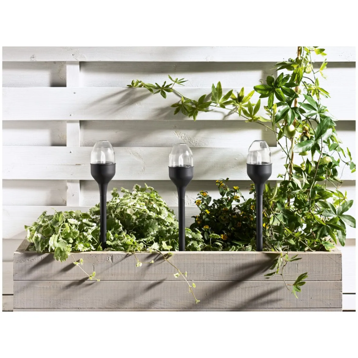 LIVARNO home LED Solarleuchten / Tischleuchten, 3 Stück - B-Ware