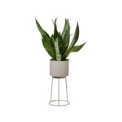 LIVARNO® Planztopf mit Gestell - B-Ware