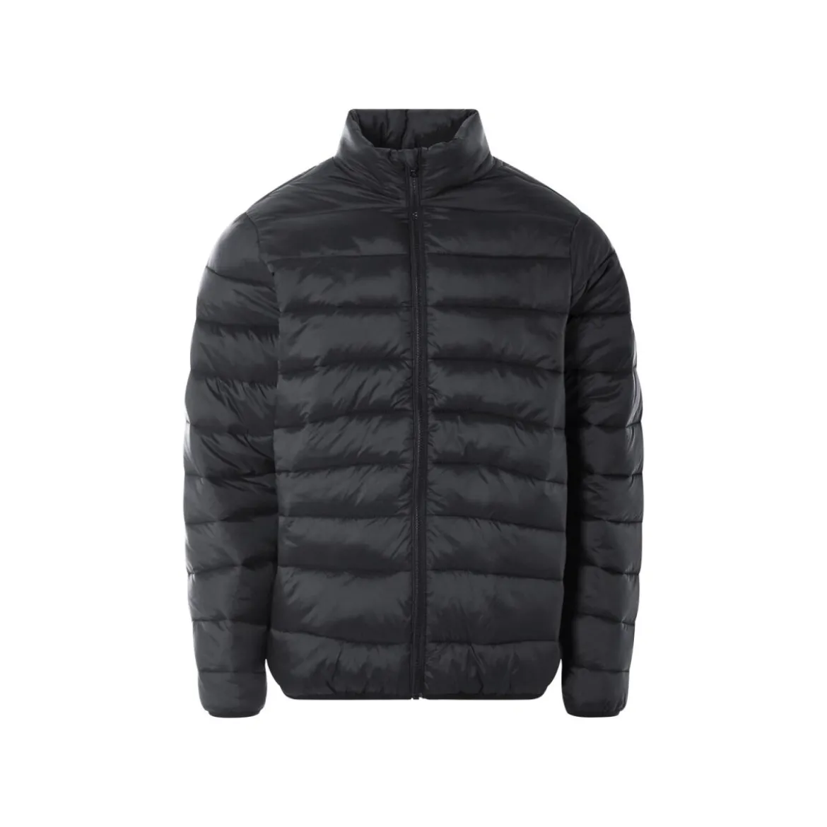 LIVERGY® Herren Steppjacke mit Stehkragen (Schwarz, L(52/54)) - B-Ware sehr gut