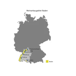 Markgräfler Winzer Spätburgunder Weißherbst QbA feinherb, Literflasche, Roséwein 2019
