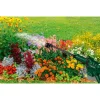 PARKSIDE® Akku–Druckreiniger »PDRA 20-Li C3«, ohne Akku und Ladegerät - B-Ware neuwertig