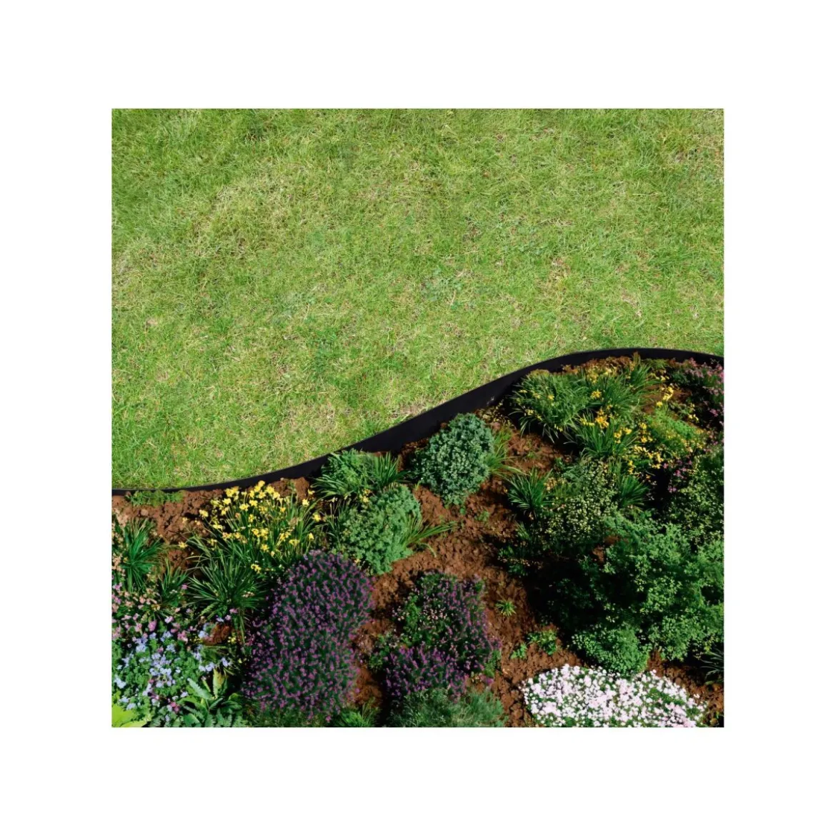 PARKSIDE® Rasenkante - B-Ware