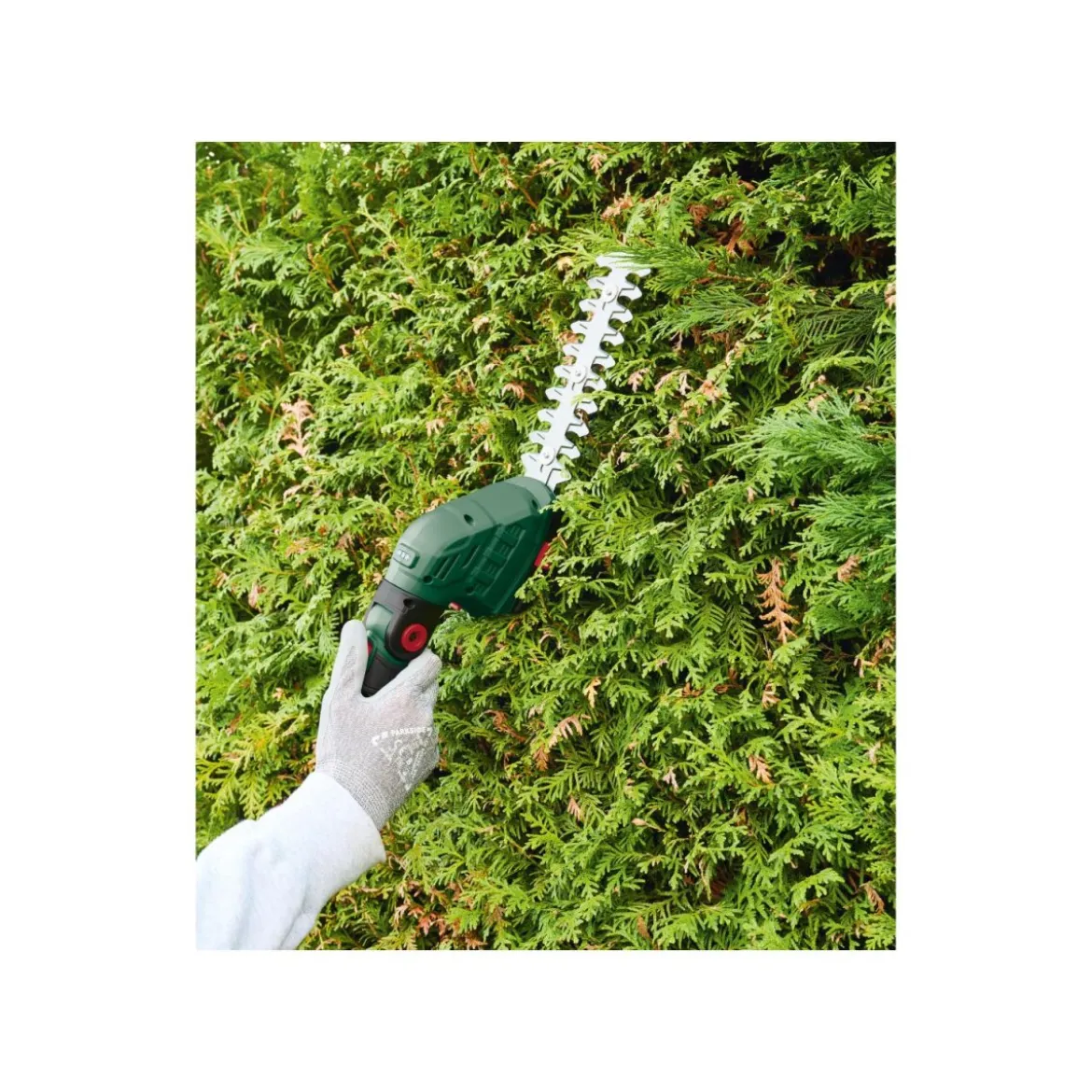 PARKSIDE® 12 V Akku-Gras- und Strauchschere »PGSA 12 B1«, mit Akku und mit Ladegerät - B-Ware