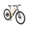 PROPHETE E-Bike Alu-E-MTB 29,0 Zoll DICE 2.0 - B-Ware sehr gut