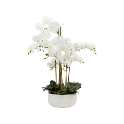 Pureday Kunstpflanze »Orchideentopf«, mit prächtigen Blüten - B-Ware sehr gut