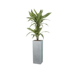 Scheurich Hochgefäß »Cube High«, Kunststoff, quadratisch, L 26 x B 26 x H 70 cm (Stony Grey, Höhe 70 cm) - B-Ware sehr gut