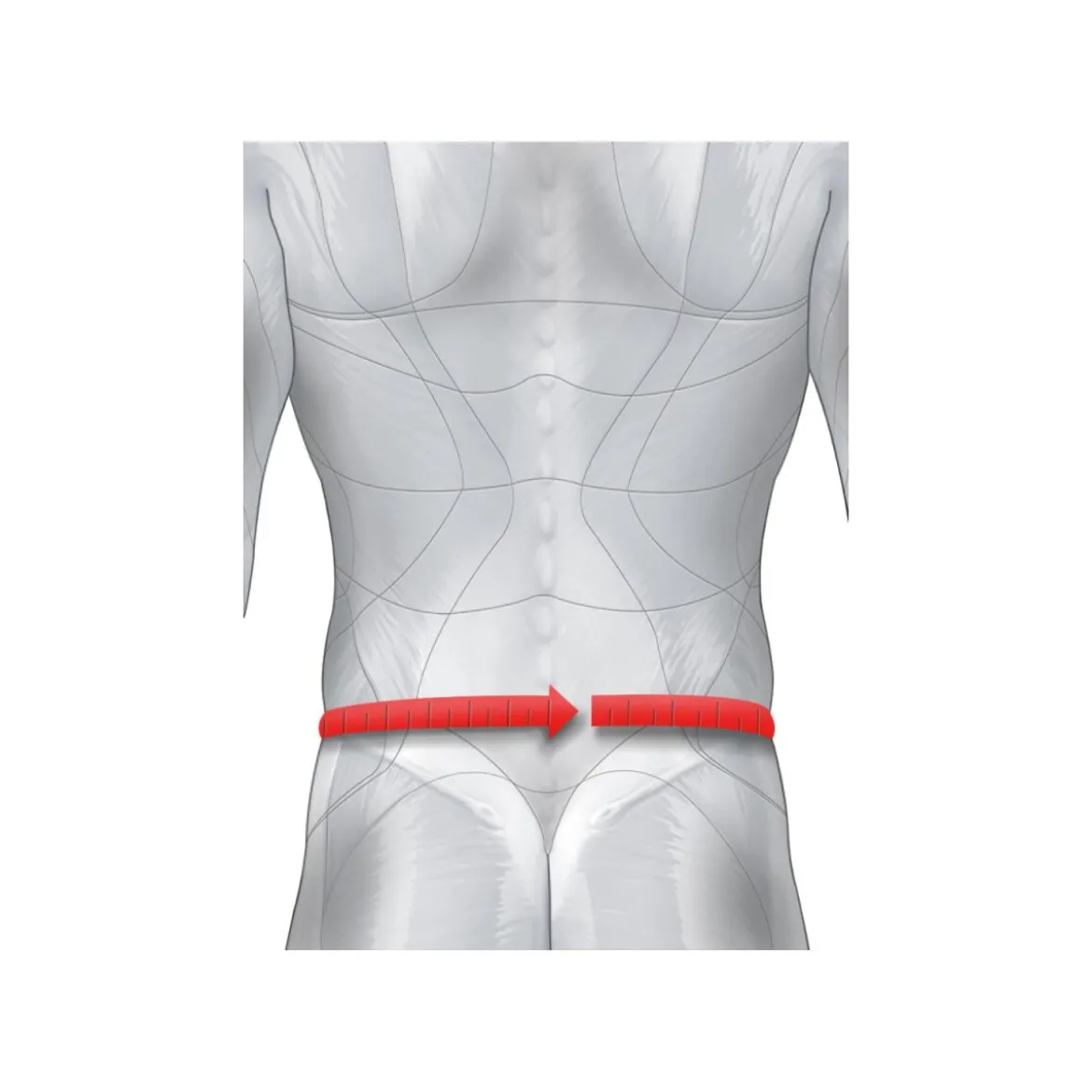 SENSIPLAST® Rückenbandage - B-Ware