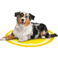 ZOOFARI® Hunde Kühlmatte (Gelb) - B-Ware sehr gut